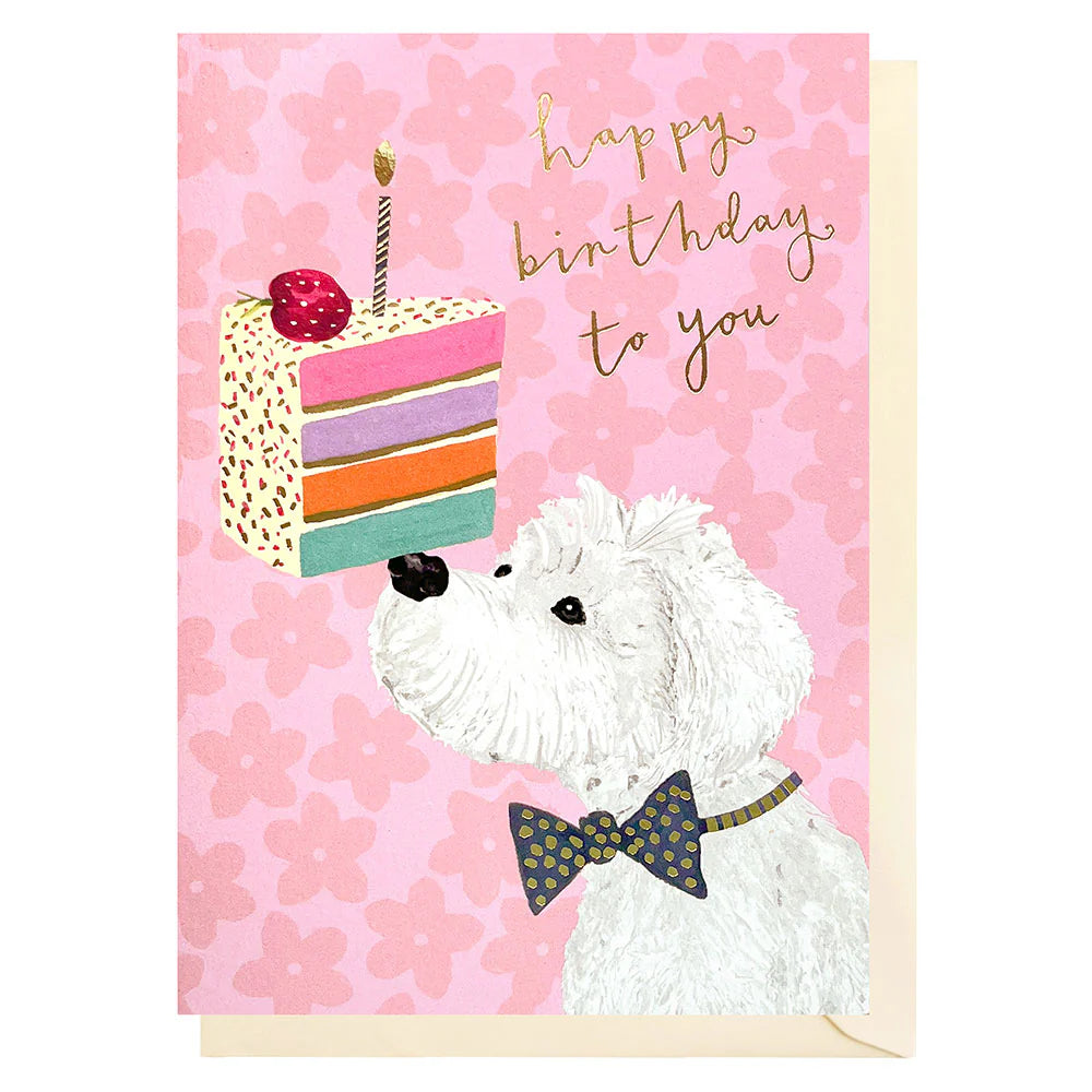 Canine Cake Birthday: MP004
