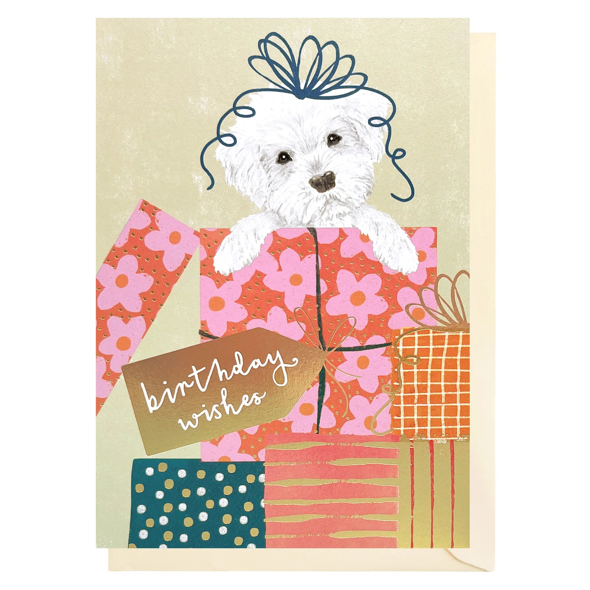 Birthday Box Puppy:MP006