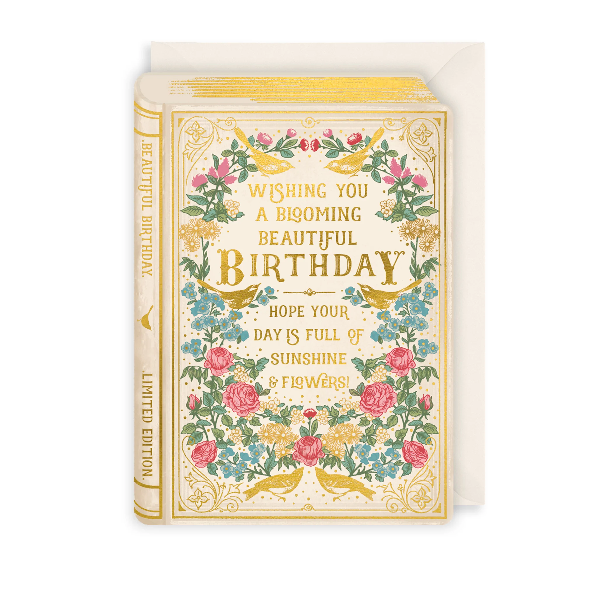 Party Most Ardently Book Birthday Card:RY04
