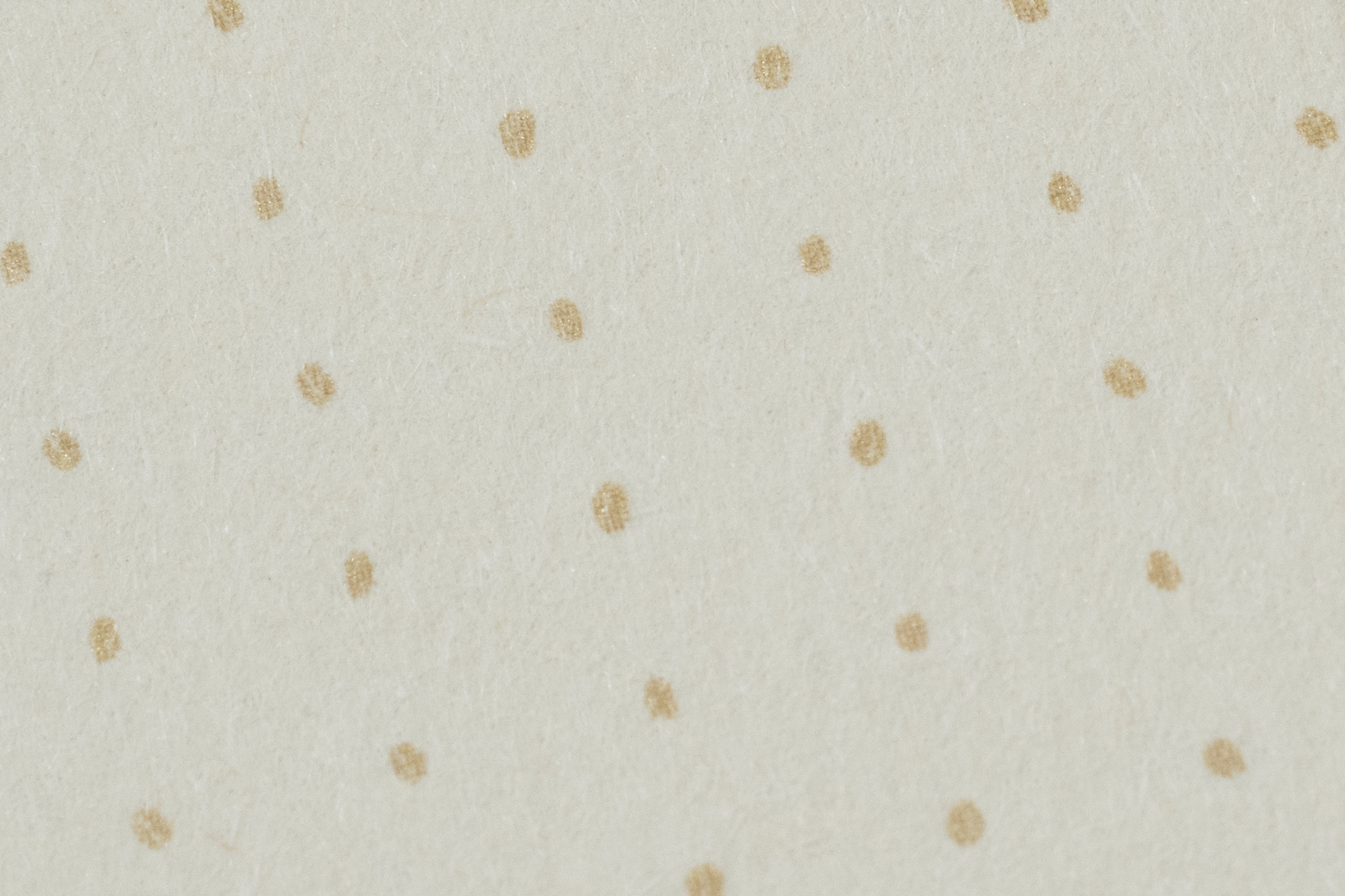 Cafe Refill 3 / M5